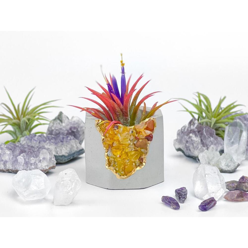 Yellow Agate Crystal Air Plant Holder Succulent Planter